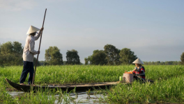 La crise agricole dans le Delta du Mékong