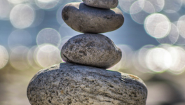 En équilibre. 1.Racines