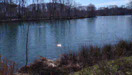 L'esprit de rencontre