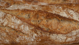 Croûte