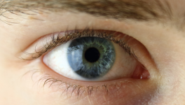 Épisode 1 - Les yeux océan