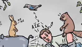 pollution de la Terre : la sanction