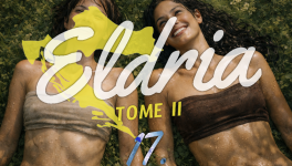 Eldria II : 17 · Voyage et confidences