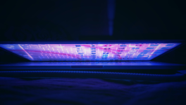 Un’applicazione concreta del principio di eguaglianza e illegalità