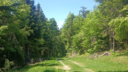 Blabla d'enfer ! : Chapitre 2                                            Effet boomerang