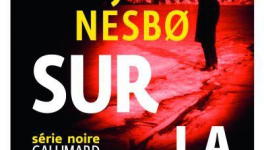 Du sang sur la glace