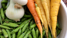 Le jardin du 12 Juin