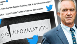 FOLLY ARGUMENT AND TOWARDS NEW INVESTIGATIONS : THE COVID19 CASE.