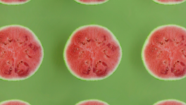 La PAL du mois de Juin 2024