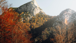 Letteratura e giustizia?