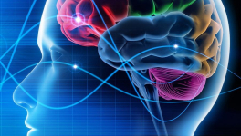 L'humour après tout n'est qu'un état-d'aise, pris à vouloir faire rire !