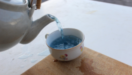 Journal de bord de jeûne #1