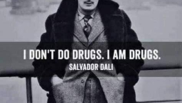 Intoxication: Artistic Fame and the Magnetic Persona