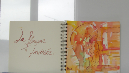 Carnets Dessins jeux de couleurs et d'ombres : Carnet 6 2018 - La flamme inversée