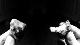 Ma culture du Bonheur