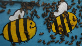 Bee Day: Las abejas merecen su día