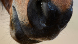 Petite philosophie de la pluie