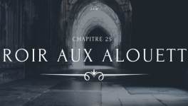 A la Moldue - Chapitre 25 : Miroir aux alouettes
