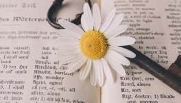 Février: Hippocalliphène