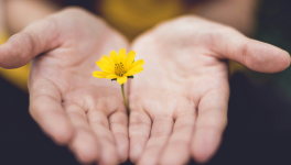 Dans les yeux de Papi