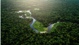 Il fallait survivre, Chronique du roman éponyme de Lucie Dequatremare