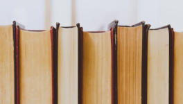 Quatrième de couverture