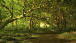 Episode 4 - Un endroit pour se reposer