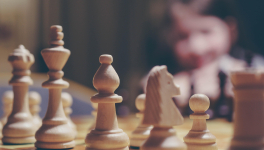 Une vie de bac à sable