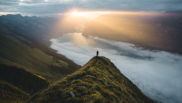 Chapitre 5 : Apprentissage à la survie