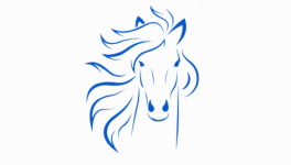 Bienvenue dans mon univers