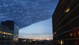 La rupture ou la disruption