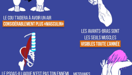 Les muscles négligés