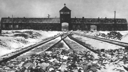 Nuit et Brouillard (Alain Resnais, 1956)