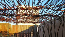 Le programme de culture au jardin des rendez-vous gratuits cet été à Marseille 