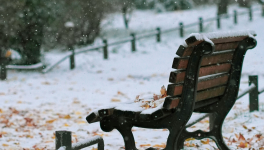 VARIATION AUTOUR DE L'ABANDON