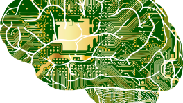 Le cerveau quantique