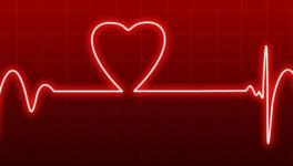 Découverte du titre : Tome 1