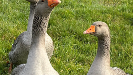 L’ARADHANA DES CIMES