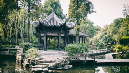 NO CHOICE : SPEAKING OUT (Remedy to Covid19 (Mafia-Sect- [insane]Plan) - Nous n'avons pas d'autre choix que de parler contre le covid (la secte mafieuse avec son plan [ma