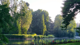 L'éveil des Gardiens