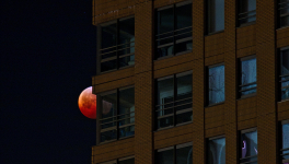 Les fenêtres d'en face (I)