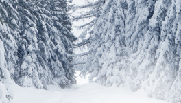 Traverser l’hiver …