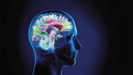 Savoir écouter, c'est posséder outre le sien, le cerveau des autres ! 