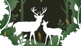 Az igazi szerelem plátói?