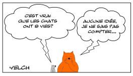 les 9 vies du chat? 