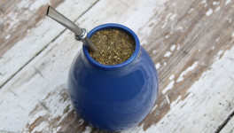 Découverte des Plantations de Maté au Brésil