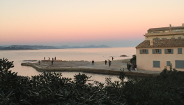 Fétus de paille de femmes