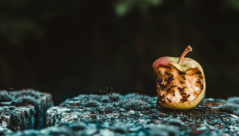 Trouve ta niche est un très mauvais conseil. Voici pourquoi. 