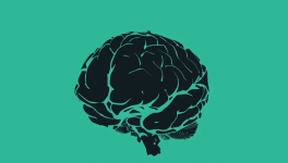 40 citations de philo, juste pour le plaisir