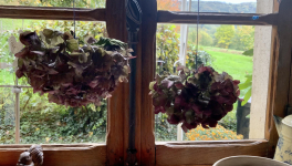 Le jardin mouillé du 23 Octobre